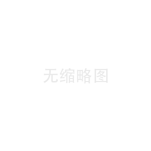 福建机械公司的全球化战略